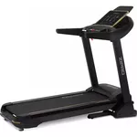 Беговая дорожка Zipro Pacemaker Gold iConsole+