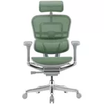 Офисное кресло ART Ergohuman Elite 2 Green T-168-B6 EHE2-AG-HAM-5D-L