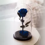 Trandafir criogenati  albastru in cupola