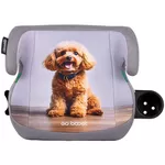Scaun auto Chipolino SDKGB02602PO I-Size 125-150cm GO BOOST poodle