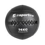 Медицинский мяч 14 кг inSPORTline Walbal 22217 (6432)
