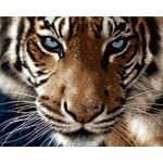 Картина по номерам Richi (03628) Privire de tigru 40x50
