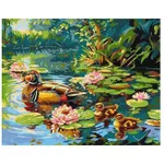 Картина по номерам Ideyka (KHO6656) Duck family, 40х50