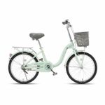 Bicicletă miscellaneous TN24R78 Raccoon 20'' verde, 2228D
