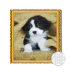 Картина по номерам Art Gallery GB84157 Mozaic cu diamante 30x40cm Catelus dragalas