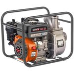 Насос Technoworker WP 30