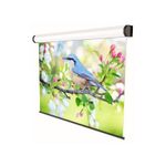 Electrical 350x219cm Sopar Professional 16:10,  Black Border, 5355