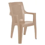 Scaun Sanja Scaun plastic Ema Ratan (bej)
