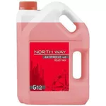 Antigel miscellaneous North Way -40 Roșu 3kg