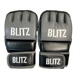 Îmbrăcăminte sport misc 9355 Manusi MMA S/M Blitz Weighted Fingerless Bag Gloves 51-13