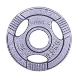 {'ro': 'Ganteră inSPORTline 1176 Disc d=50 mm metal 2,5 kg 12702 Hamerton', 'ru': 'Гантель inSPORTline 1176 Disc d=50 mm metal 2,5 kg 12702 Hamerton'}