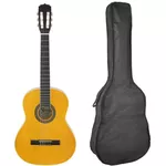 Гитара Fiesta Aria 4/4 FST-200 Natural + husa
