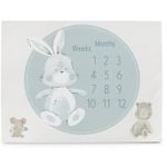 Covoraș de joacă Ceba Baby W-309-000-730 Covoras Milestone Mat Basic Friends, 92x72cm
