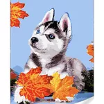 Картина по номерам Strateg R 9 /19 (GS1628)(74025) Husky оn frunze, 40x50 cm