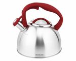 Чайник MICHELINO HT-11404 (2,4 l)