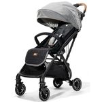 Сărucior pentru copii Kikka Boo 31001020124 2 in 1 Amani Grey