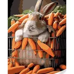 Tablou pe numere Strateg R18 /36 (SS1129)(75534) 30x40 cm