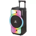 {'ro': 'Boxă portativă Bluetooth N-Gear LGPJUKE12', 'ru': 'Колонка портативная Bluetooth N-Gear LGPJUKE12'}