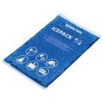 {'ro': 'Element frigorific p/u frigidere Dometic Icepack 600G', 'ru': 'Охлаждающий элемент для холодильников Dometic Icepack 600G'}