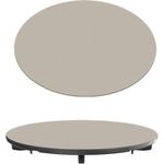 Аксессуар для кухонных моек Reginox R41444 Coverplate Champagne