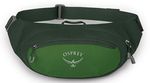 Поясная сумка Osprey Daylite Waist green belt/green canopy hip (843820184372)