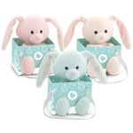 Jucărie de pluș Orange Toys Surprise the Bunny 15cm OT6002/15