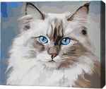 Tablou pe numere BrushMe RMG0001FC 30x40сm (fără cutie) Pisică Birmană