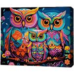 Картина по номерам BrushMe RMGB008FC 30x40сm (pânză neagră/fără cutie) Familia de bufnițe