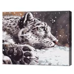 Tablou pe numere Art Gallery GX39981 40x50cm Eco, Leopardul zapezilor si ninsoare