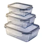 Контейнер для хранения пищи Borart 146220PF Set 3 containere cu model optic embosat (380+640+1040)