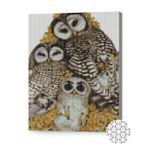 Картина по номерам Art Gallery XQB84048 Mozaic cu diamante 30x40cm Familia de bufnite