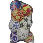 Minge SUHS 6306 Plasa pentru 12 mingi 96х70 cm FB-5577