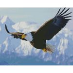 Картина по номерам Strateg FA40090 Алмазная мозайка Горный орел 40x50