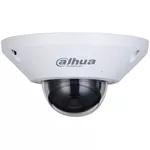 Камера наблюдения Dahua DH-IPC-EB5541P-M-AS Fisheye