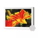 Картина по номерам Art Gallery JS20009 Mozaic cu diamante 20x30cm Crinul aramiu