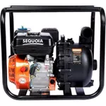 Насос Sequoia SPP1000C 1000l/min
