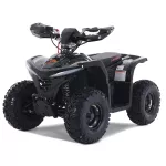 ATV electric E-HAWK 6, 1500W