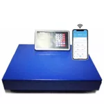 Весы промышленные Micul Fermier 300kg Wi-Fi (GF-1119)