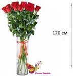 Роза красная Ecuador 120 см Поштучно