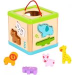 Jucărie Tooky Toy R25 /27 (70567) Cub-sorter cu animale din lemn TL642