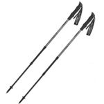 Bețe pentru trekking Masters HIKER Lite Zinc Grey 01S0925