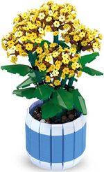 Конструктор Richi (70595) Constructor 842elem