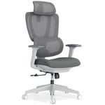 {'ro': 'Fotoliu de birou Lumi LV-CH10-26, Grey', 'ru': 'Офисное кресло Lumi LV-CH10-26, Grey'}