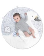 Skip Hop Коврик Little Swan