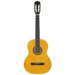 Гитара Fiesta Aria 4/4 FST-200 Natural + husa