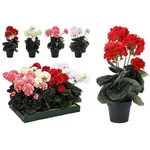 Искусственное растение Promstore 55246 Planta artificiala Geranium Regal 35x25cm in ghiveci (4 modele)