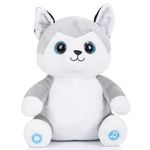 Мягкая игрушка Chipolino Huskey PIL02301HUSK