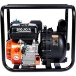 Насос Sequoia SPP600C 600l/min