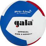 Minge volei №5 Gala Pro-Line FIVB Approved 5595 (8999)
