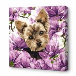 Tablou pe numere Ideyka KHO6796 40x40cm Eco, York in magnolie